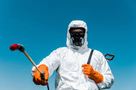 Reliable West Fork, AR Pest Control Solutions